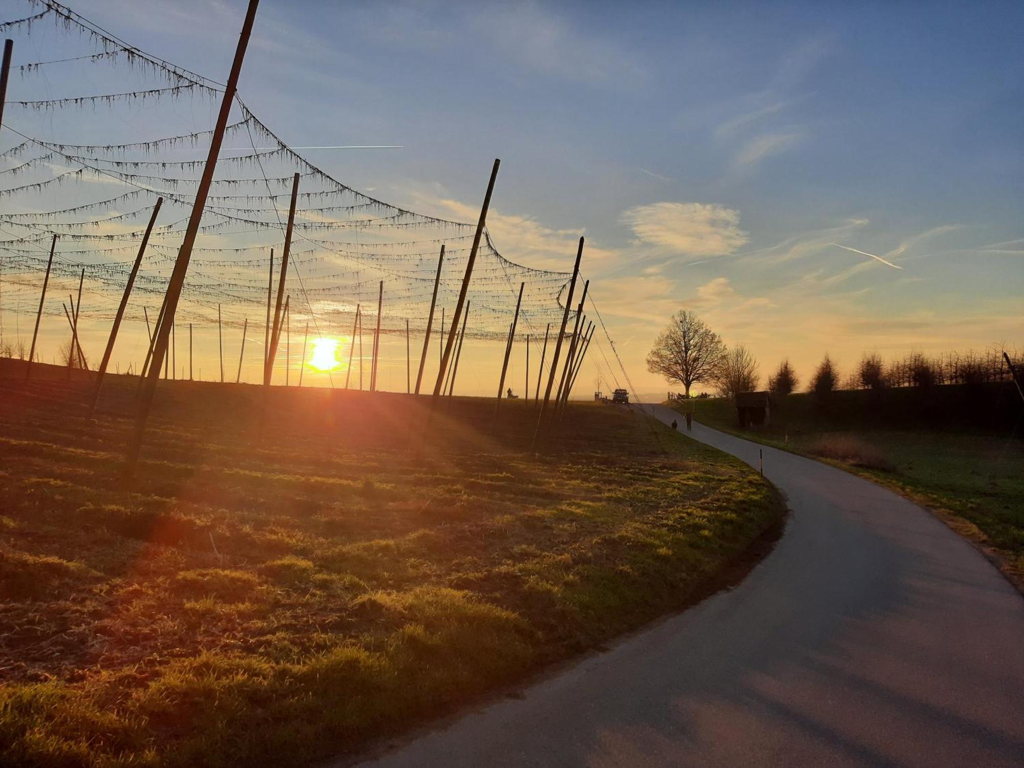 Am Dorfweiher Tettnang Luaran gambar