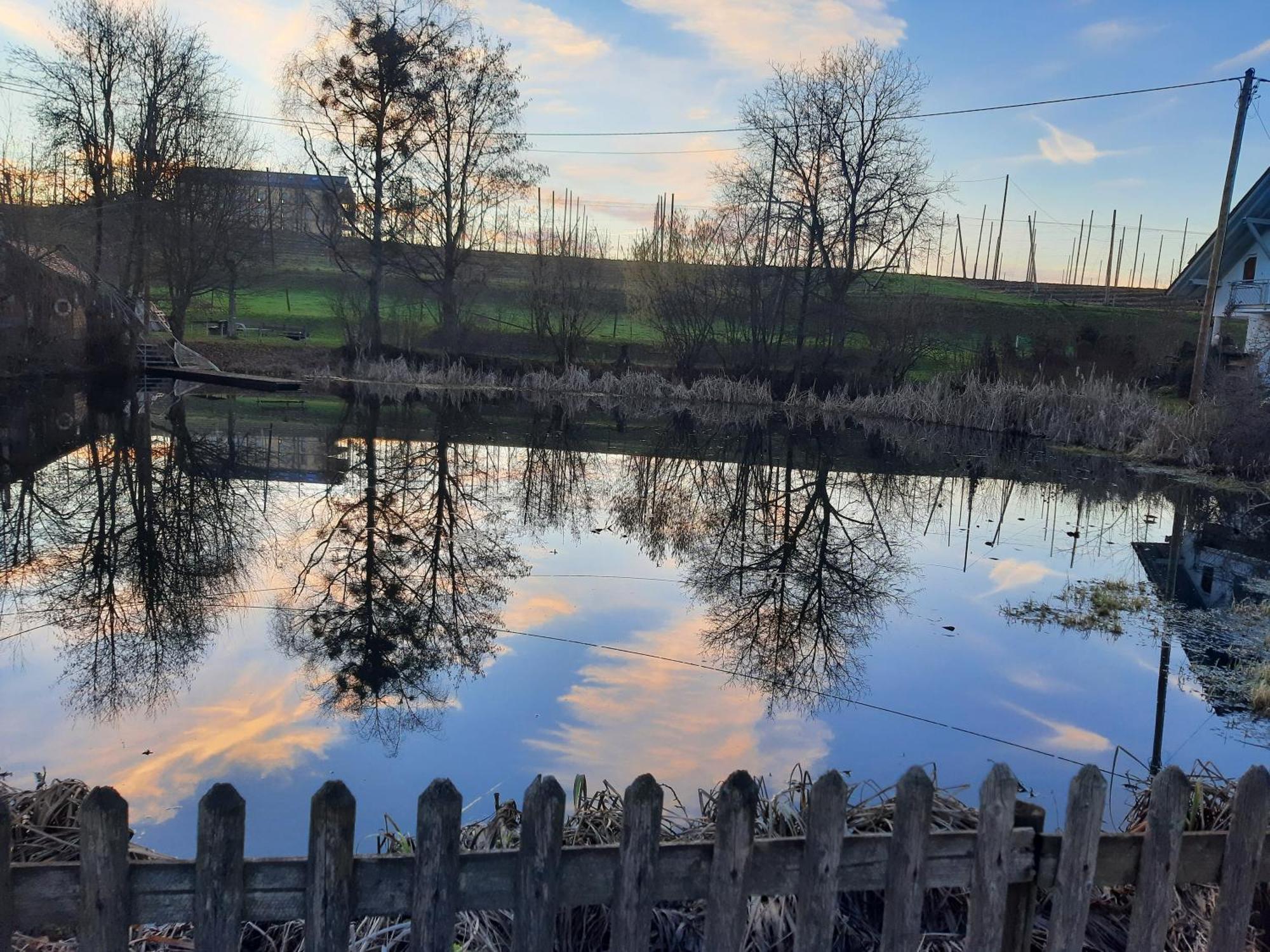 Am Dorfweiher Tettnang Luaran gambar